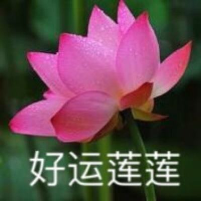 杨浦区数字贸易发展服务中心揭牌！优化区域营商环境